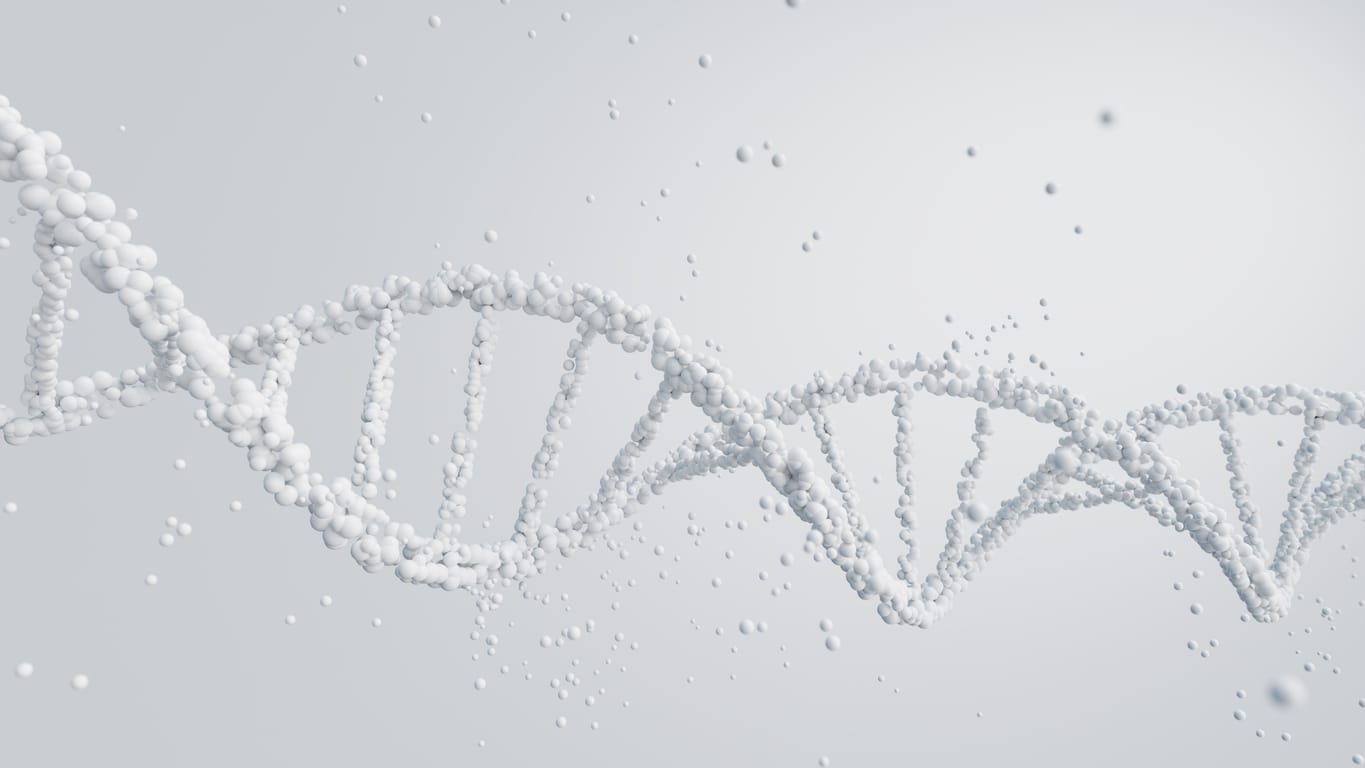 Longevity Coaching: Wie du mit Epigenetik dein biologisches Alter natürlich senken kannst