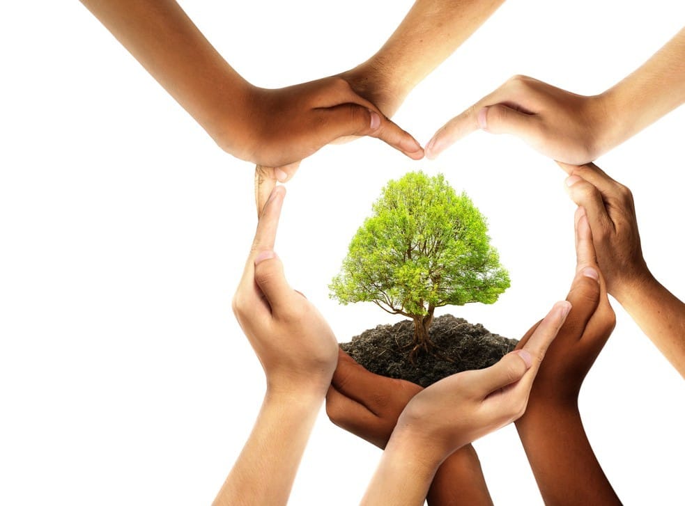 Noble Panacea EU: Earth Month Promo